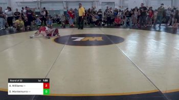 80-J lbs Round Of 32 - Anze Williams, MI vs Dale Montemurro, WI