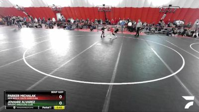 87 lbs Cons. Round 3 - Jovanni Alvarez, Ringers Wrestling Club vs Parker Michalak, New Berlin Youth Wrestling