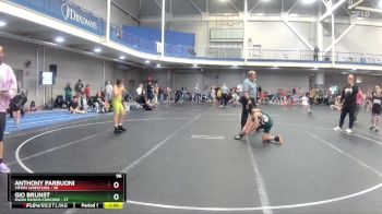 96 lbs Round 3 (6 Team) - Gio Brunst, Ragin Raisins Concord vs Anthony Parbuoni, Vipers Wrestling