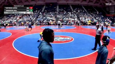3A-106 lbs Champ. Round 1 - Emerson Hill, Troup vs Deyson Lopez, Gilmer County
