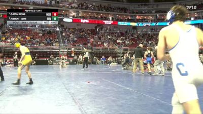 1A-138 lbs 3rd Place Match - Gavin Wiig, Woodbury Central vs Aidan Timm, Belle Plaine