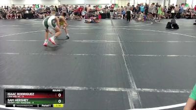 113 lbs Round 1 (6 Team) - Sam Hershey, Moser`s Mat Monsters vs Isaac Rodriguez, Lake Erie WC