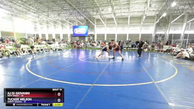 190 lbs Placement Matches (8 Team) - AJ Di Giovanni, New Jersey vs Tucker Nelson, North Dakota