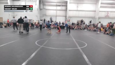 72 lbs Round 7 (8 Team) - Dominic Golembiewski, Neighborhood Wrestling vs Vincent Welsh, CTWHALE Blue