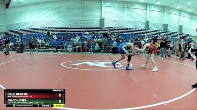 95 lbs Round 5 (6 Team) - David Himes, Center Grove Wrestling Club vs Cale Beattie, HSE Wrestling Club