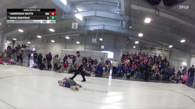 34 lbs Quarterfinal - Anderson Watts, Blair Wrestling Club vs Evan Wietfeld, Clarkson Leigh