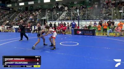 106 lbs Cons. Round 1 - Zachary Donalson, AR vs Anthony Colantuono, PA