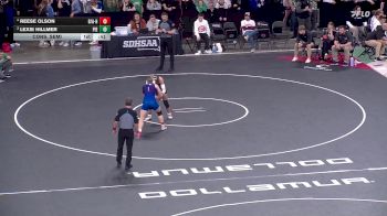 135 lbs Cons. Semi - Reese Olson, Beresford/Alcester-Hudson vs Lexie Hillmer, Pierre T.F. Riggs