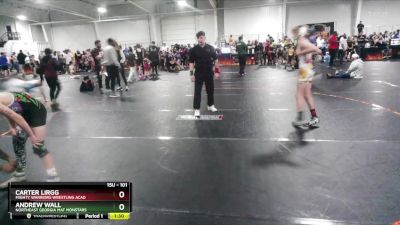 101 lbs Round 1 - Carter Lirgg, Mighty Warriors Wrestling Acad vs Andrew Wall, Northeast Georgia Mat Monstars