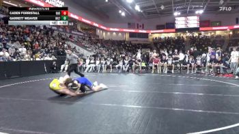215 lbs Quarterfinal - Garrett Weaver, Wilton vs Caden Forristall, Riverside, Oakland