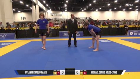 Michael Dennis Ables-Lyons vs Dylan Michael Gumaer 2025 World IBJJF Jiu-Jitsu No-Gi Championship