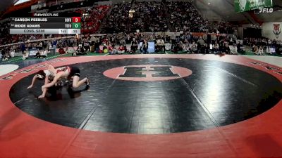 4A 113 lbs Cons. Semi - Carson Peebles, South Fremont vs Ridge Adams, Teton