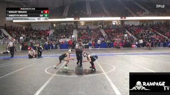 55 lbs Quarterfinal - Oakley Mulich, Lawrence Elite vs Anestyn Means, Carroll