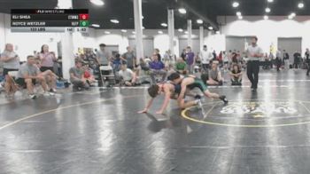 123 lbs Rr Rnd 2 - Eli Shea, CTWHALE - BHSE vs Royce Wetzler, VA Team Predator - BHSE