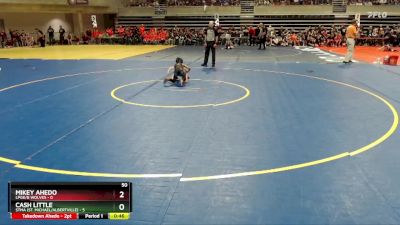 50 lbs Semis & 1st Wrestleback (8 Team) - Cash Little, STMA (St. Michael/Albertville) vs Mikey Ahedo, LPGE/B Wolves