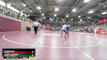 190 lbs Quarterfinal - Joseph Zamudio, Evansville Memorial vs Tj Michalak, Roncalli