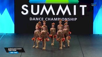 Rainbow Dance Academy - Tiny Pom [2025 Tiny - Pom Semis] 2025 The Dance Summit