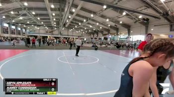 80 lbs Round 3 - Audrey Cunningham, Gracie Barra Westchase Wrestling Club vs Aspyn Applegate, Randall Youth Wrestling Club