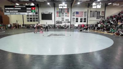 100 lbs Quarterfinal - Jaymaries Andres, Metamora vs Mia Martinez, Minooka