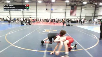 119 lbs Consi Of 64 #2 - Slade Linton, TN vs Declyn Wilson, FL