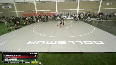 92 lbs Quarterfinal - Nathan Ellis, Sanderson Wrestling Academy vs Cameron Hoezee, Salem Elite Mat Club