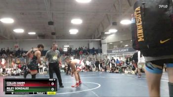 145 lbs Cons. Round 3 - Collin Hamm, Wrestling Factory vs Riley Gonzalez, Hudson