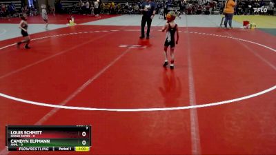 45 lbs Semis & 1st Wrestleback (8 Team) - Louis Schmitt, Grand Rapids vs Camdyn Elfmann, ANML