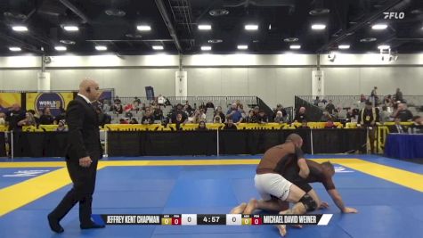 Michael David Weiner vs Jeffrey Kent Chapman 2024 World IBJJF Jiu-Jitsu No-Gi Championship