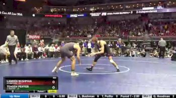 160 lbs Quarterfinal - Landen Bushman, 4-Linn-Mar vs Teagen Peiffer, 5-Ankeny