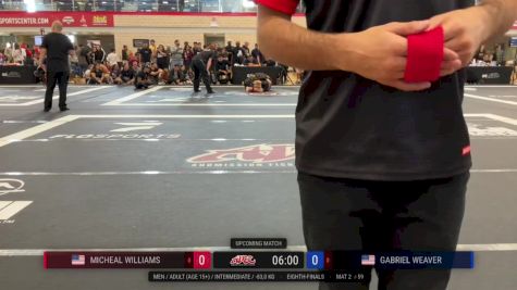 Micheal Williams vs Gabriel Weaver 2024 ADCC Austin Open