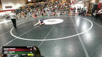 140 lbs Champ. Round 2 - Olivia Herget, Central vs Abby Turner, Mountain View