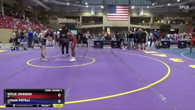 138 lbs Cons. Round 2 - Wylie Johnson, IA vs Logan Pistilli, CA