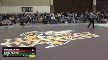 165 lbs Quarterfinal - Derick Coleman, Lourdes vs Donovan Palmer, Baldwin Wallace