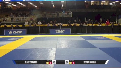 Steven Micheal vs Blake Edwards 2025 Pan Jiu Jitsu IBJJF Championship