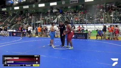 250 lbs Round 2 - Darrell Bibbs, IL vs Jj Seidnr, OK