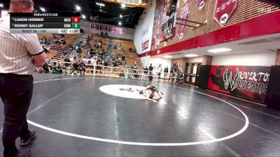 106 lbs Quarterfinal - Canon Horner, Natrona County vs Rowdy Gallup, Kelly Walsh