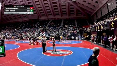 2A-113 lbs Cons. Round 1 - Dax Swain, Appling County vs Maddox Parks, Pike County