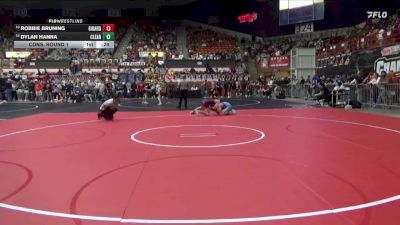 138 lbs Cons. Round 1 - Robbie Bruning, Girard Hs vs Dylan Hanna, Clearwater