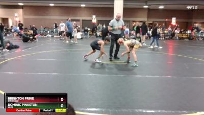 82 lbs Round 3 - Brighton Prine, Ohio Gold vs Dominic Pinkston, Ares