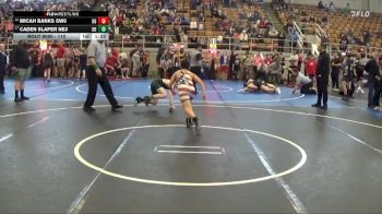 110 lbs Champ. Round 1 - Caden Slaper NE3, Lake Catholic vs Micah Banks SW6, Ohio Heroes