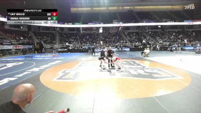 107 lbs Cons. Round 3 - Emma Greene, Niagara Wheatfield-6 vs Lily Gullo, Horseheads-4