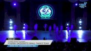 Foursis Dance Academy - Foursis Dazzlerette Small Dance Team [2024 Youth - Contemporary/Lyrical - Small Day 1] 2024 ASC Clash of the Titans Schaumburg & CSG Dance Grand Nationals