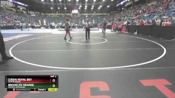 155 lbs Champ. Round 1 - Zjedai Royal Bey, Olathe North vs Brooklyn Orange, Wichita-Southeast