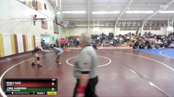 107 lbs Cons. Round 5 - Cirie Hawkins, Mica Mountain vs Emily Saiz, Aztec