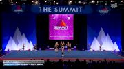 Terre Haute Cheer University - PARTY ANIMALS [2026 L4 Junior - Flex - D2 - Small Wild Card] 2026 The D2 Summit