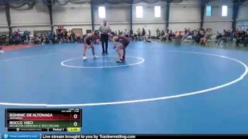 125 lbs Cons. Round 2 - Dominic De`altonaga, Augsburg vs Rocco Visci, Rochester Community & Tech. College