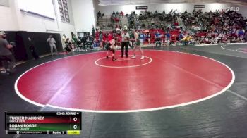 126 lbs Cons. Round 4 - Logan Rogge, Pueblo County vs Tucker Mahoney, Castle View