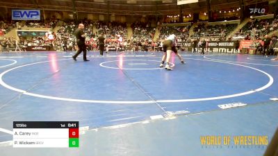 125 lbs Quarterfinal - Adam Carey, Indee Mat Club vs Parker Wickam, Bear Cave