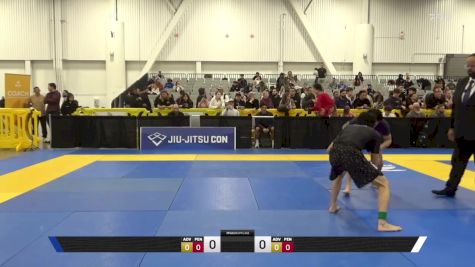 Arona Kai Makaio Villiatora vs James Alexander Marin 2025 World IBJJF Jiu-Jitsu No-Gi Championship