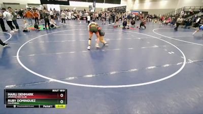 135 lbs Cons. Round 6 - Marli Denmark, Spartan Mat Club vs Ruby Dominguez, California